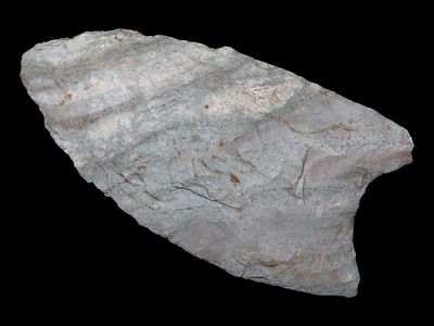2 1/4” x 1 1/8” Clovis, Attica Chert, Champaign Co., Illinois, Motley & Leithoff COA