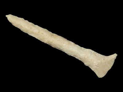 3 7/16” x 7/8” Drill, Burlington Chert, Milan, Missouri, Keele COA