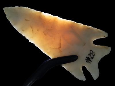 2 15/16” x 1 3/8” Kampsville Barbed Swallowtail, Burlington Chert, Illinois/Missouri, Dickey 