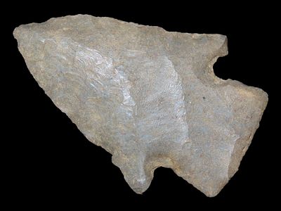 2 3/8” x 1 5/8” Big Slough, Fort Payne Chert, Kentucky, Davis COA