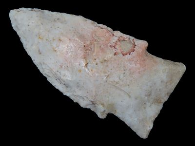 2 3/4” x 1 5/16” Steuben, Burlington Chert, Milan, Missouri, Keele COA