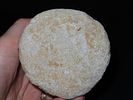 3 1/8” Hoof Pestle, Nutting Dimple Base, Rare Galena, Knox Co., OhioImage - 5