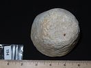 3 1/8” Hoof Pestle, Nutting Dimple Base, Rare Galena, Knox Co., OhioImage - 7