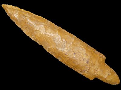 4 1/2” x 15/16” Vandenberg Contracting Stem, Niobrara Jasper, Colorado, Motley & Leithoff COA