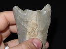 3 7/8” x 2 1/8” Lost Lake, Hornstone, Kentucky, Davis COAImage - 7