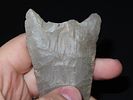 3 7/8” x 2 1/8” Lost Lake, Hornstone, Kentucky, Davis COAImage - 8