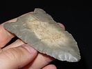 3 7/8” x 2 1/8” Lost Lake, Hornstone, Kentucky, Davis COAImage - 10