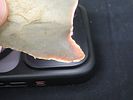 3 7/8” x 2 1/8” Lost Lake, Hornstone, Kentucky, Davis COAImage - 14