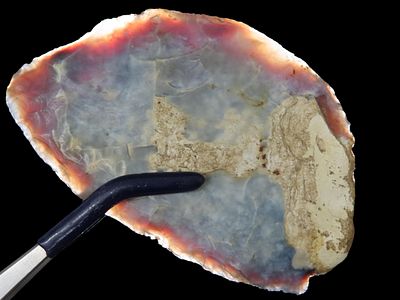 3 3/16” Paleo Knife, Knife River Flint, North Dakota, Hootman & Motley COA