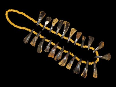 Buffalo Tooth and Trade Bead Necklace