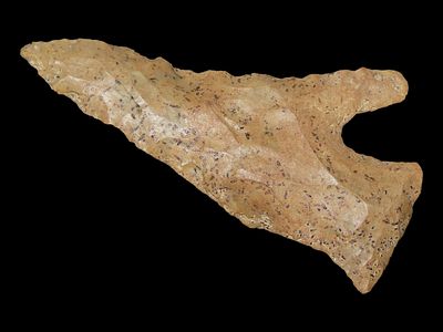 2 13/16” x 1 1/2” Pipe Creek (Single Notch), Fort Payne Chert, Tennessee, Davis COA