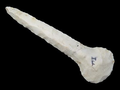 2 3/4” x 7/8” Paddle Drill, Burlington Chert, Illinois, Motley & Leithoff COA