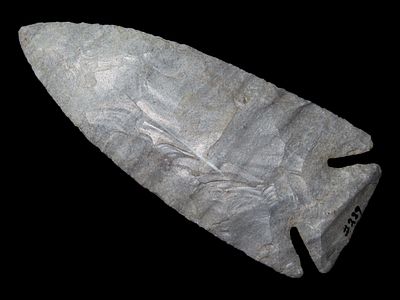 3 9/16” Pulaski, Moline Chert, Whiteside County, Illinois