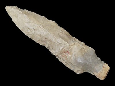3 13/16” x 1” Little Bear Creek, Fort Payne Chert, Kentucky, Davis COA