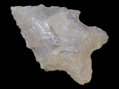 1 3/8” Lecroy, Perry Co., Tennessee, Ex. Walt McIntyre