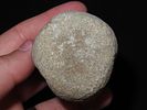 2 3/8” War Club, Grooved, Found in Knox Co., OhioImage - 4
