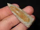 2 1/8” Triangular Pt., Henderson Co., Kentucky, Ex. Walt McIntireImage - 1