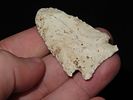 2 1/8” Neuberger, Jersey Co., IllinoisImage - 4