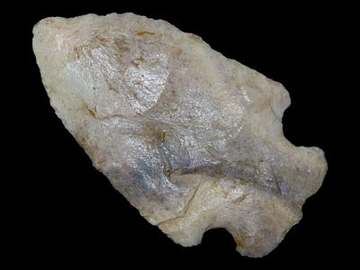 2 1/2” Osceola, St. Louis Co., Missouri, Ex. Nick Gatses