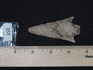 2 7/8” Pickwick, Meigs Co., TennesseeImage - 5