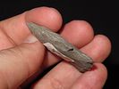 1 3/4” Benton Narrow Stem, Western TennesseeImage - 2