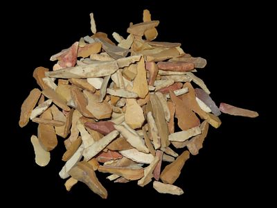 Lot of Mississippian Micro Drills, Cross Co., Arkansas