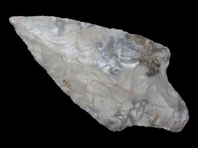 2 1/8” Gary, Prenters Chert, SE Missouri, Ex. Nick Gatses