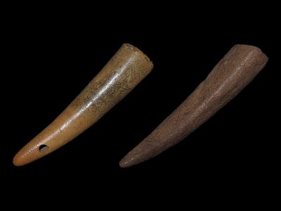 Bone Artifacts, Tennessee Historical