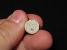 Civil War Bullet, .44 Caliber Colt Army, from the Atlanta CampaignImage - 2