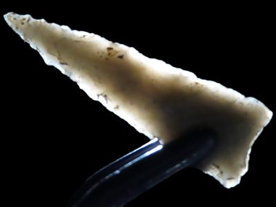 1 1/2” Triangular Pt., Henderson Co., Kentucky, Ex. Walt McIntire