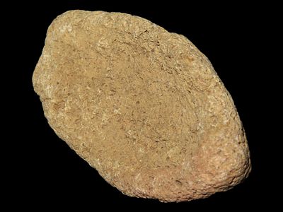 2 3/4” Spineback Boatstone, Tennessee, Ex. Parker Coll.