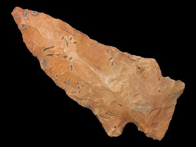 2 3/4” Rice Side Notch, Wild Amoeba Material, Pope Co., Arkansas