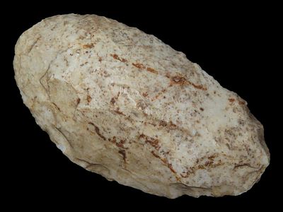 Flint Adze, Celt Tool, Archaic Woodland, Ex. Steve Manos
