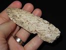 3 7/8” Sedalia, Found by Gary Nelson in Van Buren Co., Iowa, Famous YouTube ChannelImage - 1
