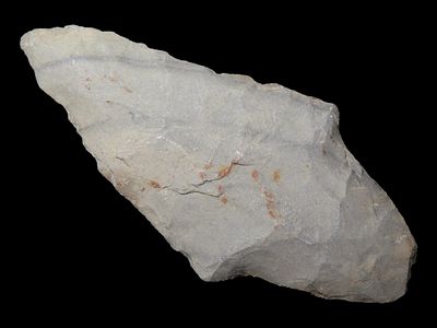 2 1/2” Adena, Kentucky
