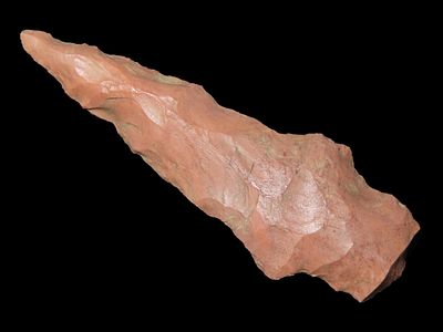 2 1/4” Red Stemmed Drill, Clay County, Arkansas