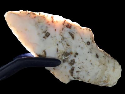 2 1/2” Adena, Woodland, Illinois, Ex. Schoon
