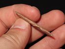 1 3/4” Madison, Sumner Co., Tennessee, Ex. Walt McIntyreImage - 2