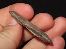 1 7/8” Blunt/Stunner, Henderson Co., Kentucky, Ex. Walt McIntyreImage - 2