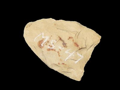 7/8” Folsom, Small Fluted Paleo, Site Marked MS-47