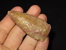 2 1/2” Bowling Green Brown, Amazing Color Blade, Missouri, Ex. Nick GatsesImage - 1