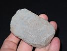 2 5/8” Greenstone Celt, Butler Co., Missouri, Ex. Mike Wright, Ex. Nick GatsesImage - 1