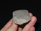 2 5/8” Greenstone Celt, Butler Co., Missouri, Ex. Mike Wright, Ex. Nick GatsesImage - 3