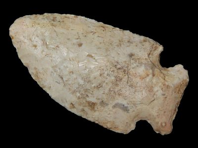 2 1/4” Raddatz, St. Louis Co., Missouri, Ex. Nick Gatses