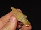 2 5/16” Fish Spear, SE Missouri, Ex. Nick GatsesImage - 4