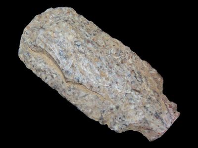 2 1/4” Harrodsburg Chert Blunt, Ohio, Ex. Nick Gatses
