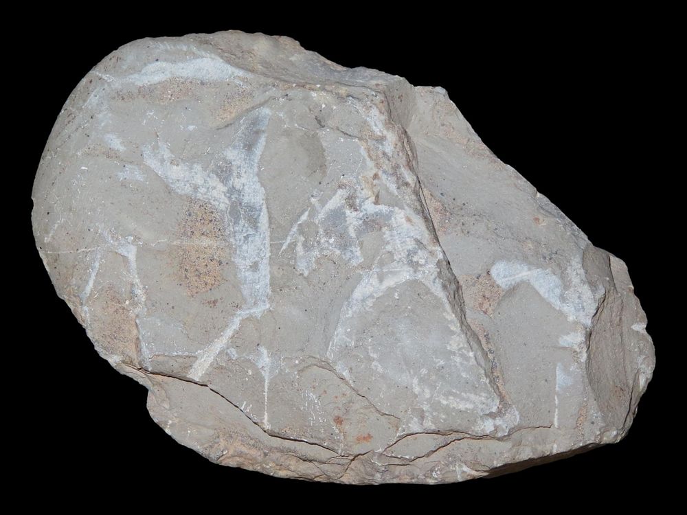 3 3/8” Chipped Slate Celt, Butler Co., Missouri, Ex. Mike Wright, Ex. Nick Gatses