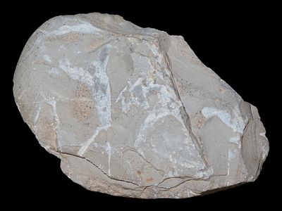 3 3/8” Chipped Slate Celt, Butler Co., Missouri, Ex. Mike Wright, Ex. Nick Gatses