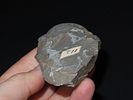 3 3/8” Chipped Slate Celt, Butler Co., Missouri, Ex. Mike Wright, Ex. Nick GatsesImage - 4