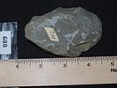 3 3/8” Chipped Slate Celt, Butler Co., Missouri, Ex. Mike Wright, Ex. Nick GatsesImage - 5